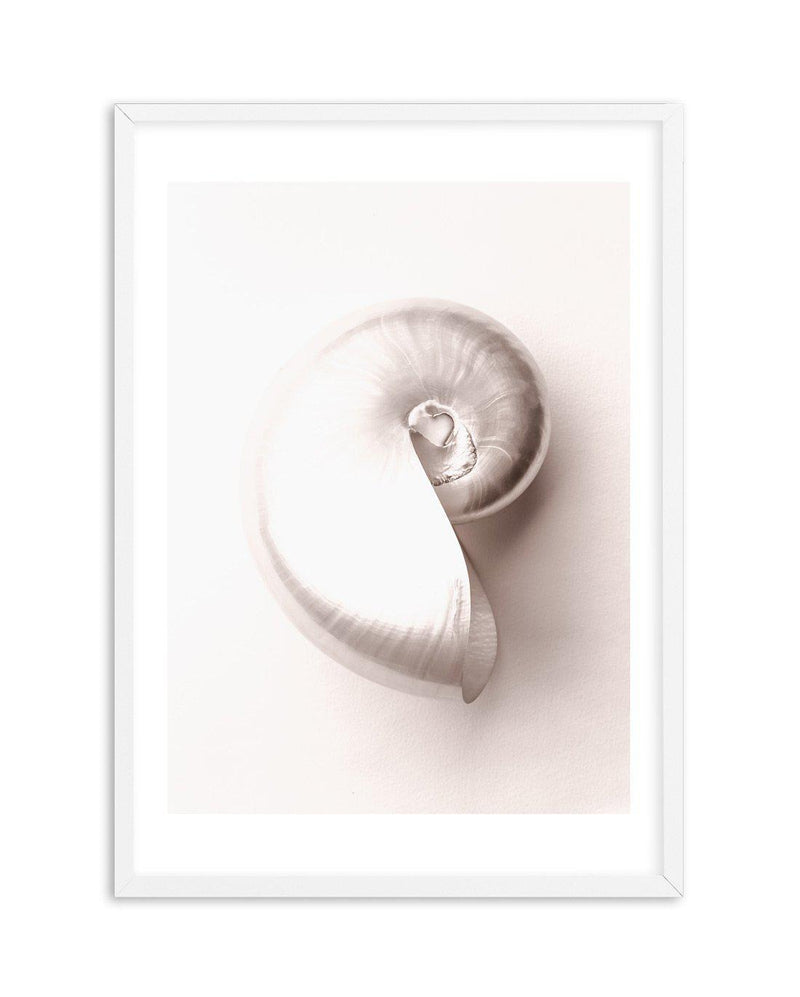 Shell II Art Print-PRINT-Olive et Oriel-Olive et Oriel-A5 | 5.8" x 8.3" | 14.8 x 21cm-White-With White Border-Buy-Australian-Art-Prints-Online-with-Olive-et-Oriel-Your-Artwork-Specialists-Austrailia-Decorate-With-Coastal-Photo-Wall-Art-Prints-From-Our-Beach-House-Artwork-Collection-Fine-Poster-and-Framed-Artwork