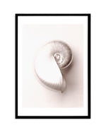 Shell II Art Print-PRINT-Olive et Oriel-Olive et Oriel-A5 | 5.8" x 8.3" | 14.8 x 21cm-Black-With White Border-Buy-Australian-Art-Prints-Online-with-Olive-et-Oriel-Your-Artwork-Specialists-Austrailia-Decorate-With-Coastal-Photo-Wall-Art-Prints-From-Our-Beach-House-Artwork-Collection-Fine-Poster-and-Framed-Artwork