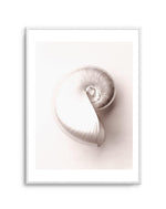 Shell II Art Print-PRINT-Olive et Oriel-Olive et Oriel-A5 | 5.8" x 8.3" | 14.8 x 21cm-Unframed Art Print-With White Border-Buy-Australian-Art-Prints-Online-with-Olive-et-Oriel-Your-Artwork-Specialists-Austrailia-Decorate-With-Coastal-Photo-Wall-Art-Prints-From-Our-Beach-House-Artwork-Collection-Fine-Poster-and-Framed-Artwork
