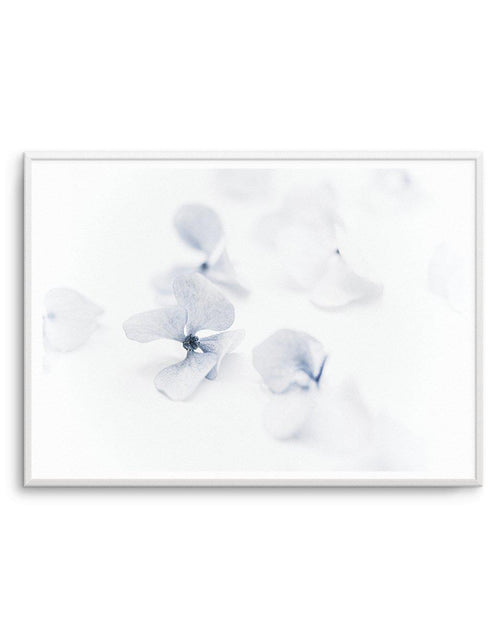 She's So Calm | Hydrangea II Art Print-PRINT-Olive et Oriel-Olive et Oriel-A4 | 8.3" x 11.7" | 21 x 29.7cm-Unframed Art Print-With White Border-Buy-Australian-Art-Prints-Online-with-Olive-et-Oriel-Your-Artwork-Specialists-Austrailia-Decorate-With-Coastal-Photo-Wall-Art-Prints-From-Our-Beach-House-Artwork-Collection-Fine-Poster-and-Framed-Artwork