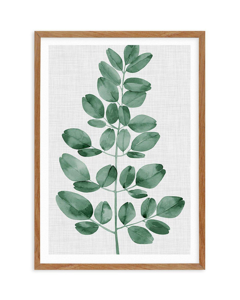 Simple Leaf Green I Art Print-PRINT-Olive et Oriel-Olive et Oriel-50x70 cm | 19.6" x 27.5"-Walnut-With White Border-Buy-Australian-Art-Prints-Online-with-Olive-et-Oriel-Your-Artwork-Specialists-Austrailia-Decorate-With-Coastal-Photo-Wall-Art-Prints-From-Our-Beach-House-Artwork-Collection-Fine-Poster-and-Framed-Artwork