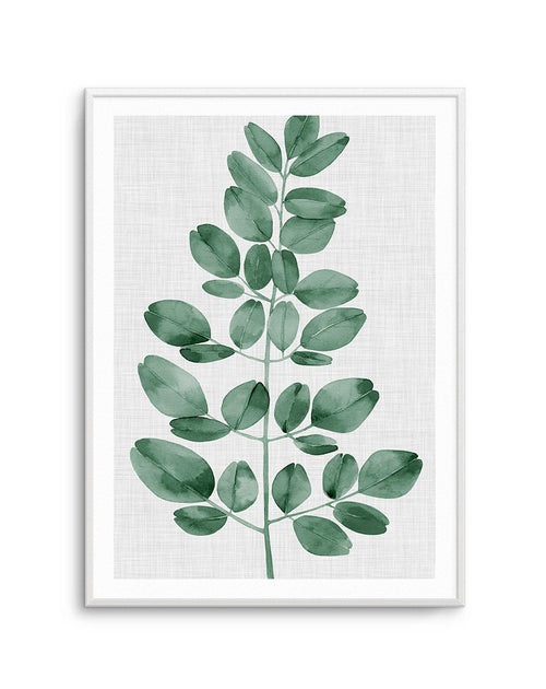 Simple Leaf Green I Art Print-PRINT-Olive et Oriel-Olive et Oriel-A5 | 5.8" x 8.3" | 14.8 x 21cm-Unframed Art Print-With White Border-Buy-Australian-Art-Prints-Online-with-Olive-et-Oriel-Your-Artwork-Specialists-Austrailia-Decorate-With-Coastal-Photo-Wall-Art-Prints-From-Our-Beach-House-Artwork-Collection-Fine-Poster-and-Framed-Artwork
