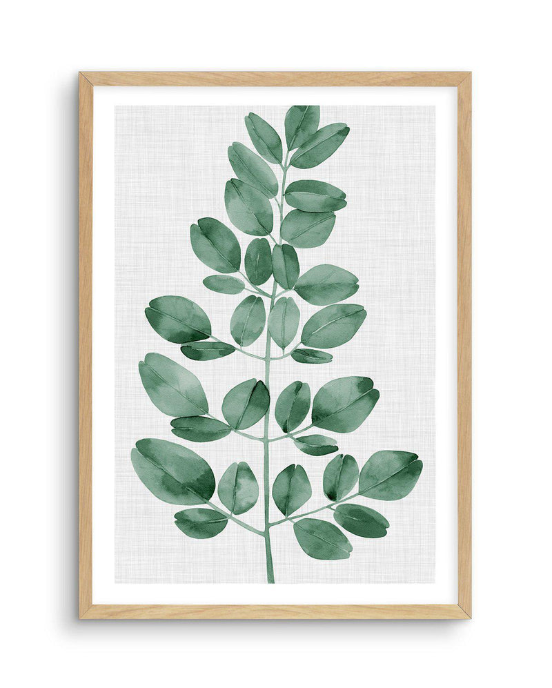 Simple Leaf Green I Art Print-PRINT-Olive et Oriel-Olive et Oriel-A5 | 5.8" x 8.3" | 14.8 x 21cm-Oak-With White Border-Buy-Australian-Art-Prints-Online-with-Olive-et-Oriel-Your-Artwork-Specialists-Austrailia-Decorate-With-Coastal-Photo-Wall-Art-Prints-From-Our-Beach-House-Artwork-Collection-Fine-Poster-and-Framed-Artwork