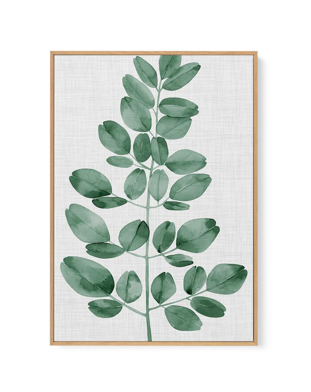 Simple Leaf Green I | Framed Canvas-CANVAS-You can shop wall art online with Olive et Oriel for everything from abstract art to fun kids wall art. Our beautiful modern art prints and canvas art are available from large canvas prints to wall art paintings and our proudly Australian artwork collection offers only the highest quality framed large wall art and canvas art Australia - You can buy fashion photography prints or Hampton print posters and paintings on canvas from Olive et Oriel and have t