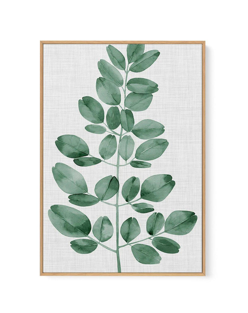 Simple Leaf Green I | Framed Canvas-CANVAS-You can shop wall art online with Olive et Oriel for everything from abstract art to fun kids wall art. Our beautiful modern art prints and canvas art are available from large canvas prints to wall art paintings and our proudly Australian artwork collection offers only the highest quality framed large wall art and canvas art Australia - You can buy fashion photography prints or Hampton print posters and paintings on canvas from Olive et Oriel and have t