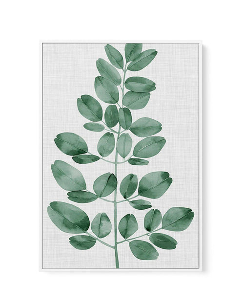 Simple Leaf Green I | Framed Canvas-CANVAS-You can shop wall art online with Olive et Oriel for everything from abstract art to fun kids wall art. Our beautiful modern art prints and canvas art are available from large canvas prints to wall art paintings and our proudly Australian artwork collection offers only the highest quality framed large wall art and canvas art Australia - You can buy fashion photography prints or Hampton print posters and paintings on canvas from Olive et Oriel and have t