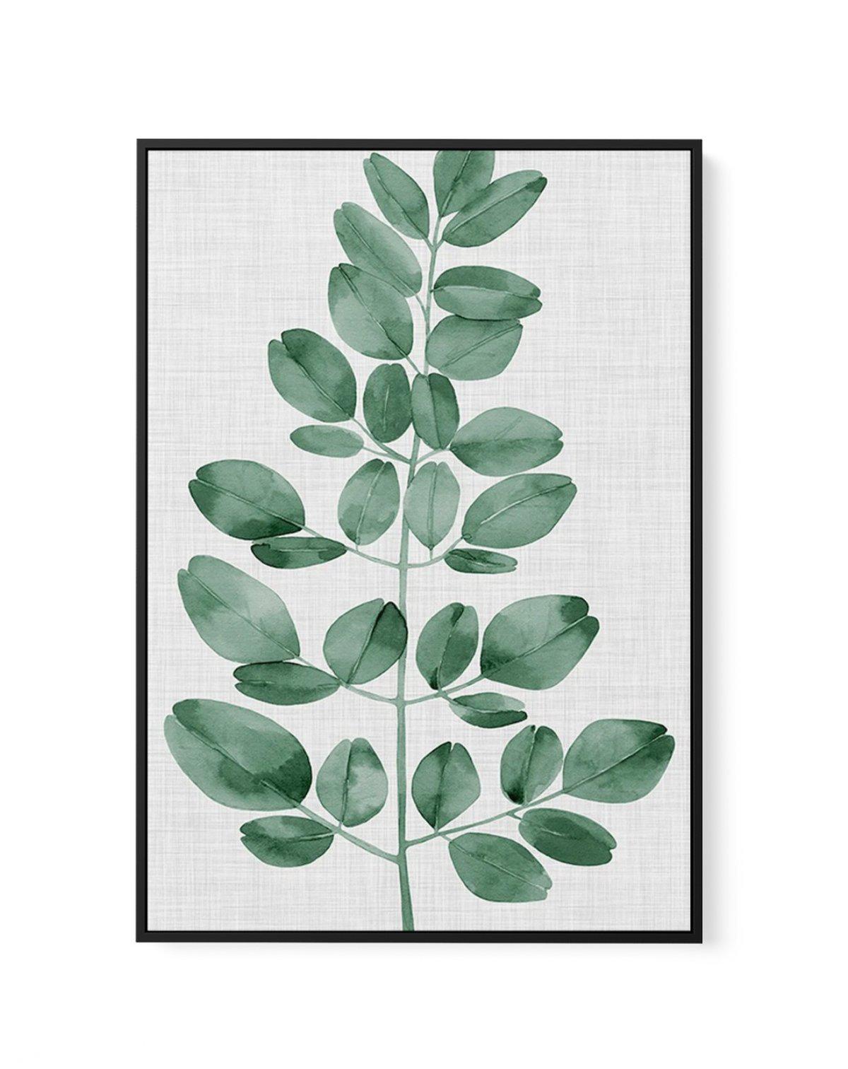 Simple Leaf Green I | Framed Canvas-CANVAS-You can shop wall art online with Olive et Oriel for everything from abstract art to fun kids wall art. Our beautiful modern art prints and canvas art are available from large canvas prints to wall art paintings and our proudly Australian artwork collection offers only the highest quality framed large wall art and canvas art Australia - You can buy fashion photography prints or Hampton print posters and paintings on canvas from Olive et Oriel and have t