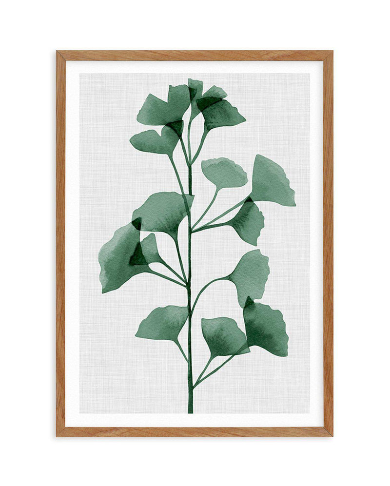 Simple Leaf Green II Art Print-PRINT-Olive et Oriel-Olive et Oriel-50x70 cm | 19.6" x 27.5"-Walnut-With White Border-Buy-Australian-Art-Prints-Online-with-Olive-et-Oriel-Your-Artwork-Specialists-Austrailia-Decorate-With-Coastal-Photo-Wall-Art-Prints-From-Our-Beach-House-Artwork-Collection-Fine-Poster-and-Framed-Artwork