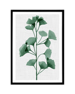 Simple Leaf Green II Art Print-PRINT-Olive et Oriel-Olive et Oriel-A5 | 5.8" x 8.3" | 14.8 x 21cm-Black-With White Border-Buy-Australian-Art-Prints-Online-with-Olive-et-Oriel-Your-Artwork-Specialists-Austrailia-Decorate-With-Coastal-Photo-Wall-Art-Prints-From-Our-Beach-House-Artwork-Collection-Fine-Poster-and-Framed-Artwork