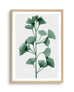 Simple Leaf Green II Art Print-PRINT-Olive et Oriel-Olive et Oriel-A5 | 5.8" x 8.3" | 14.8 x 21cm-Oak-With White Border-Buy-Australian-Art-Prints-Online-with-Olive-et-Oriel-Your-Artwork-Specialists-Austrailia-Decorate-With-Coastal-Photo-Wall-Art-Prints-From-Our-Beach-House-Artwork-Collection-Fine-Poster-and-Framed-Artwork