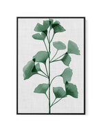 Simple Leaf Green II | Framed Canvas-CANVAS-You can shop wall art online with Olive et Oriel for everything from abstract art to fun kids wall art. Our beautiful modern art prints and canvas art are available from large canvas prints to wall art paintings and our proudly Australian artwork collection offers only the highest quality framed large wall art and canvas art Australia - You can buy fashion photography prints or Hampton print posters and paintings on canvas from Olive et Oriel and have 