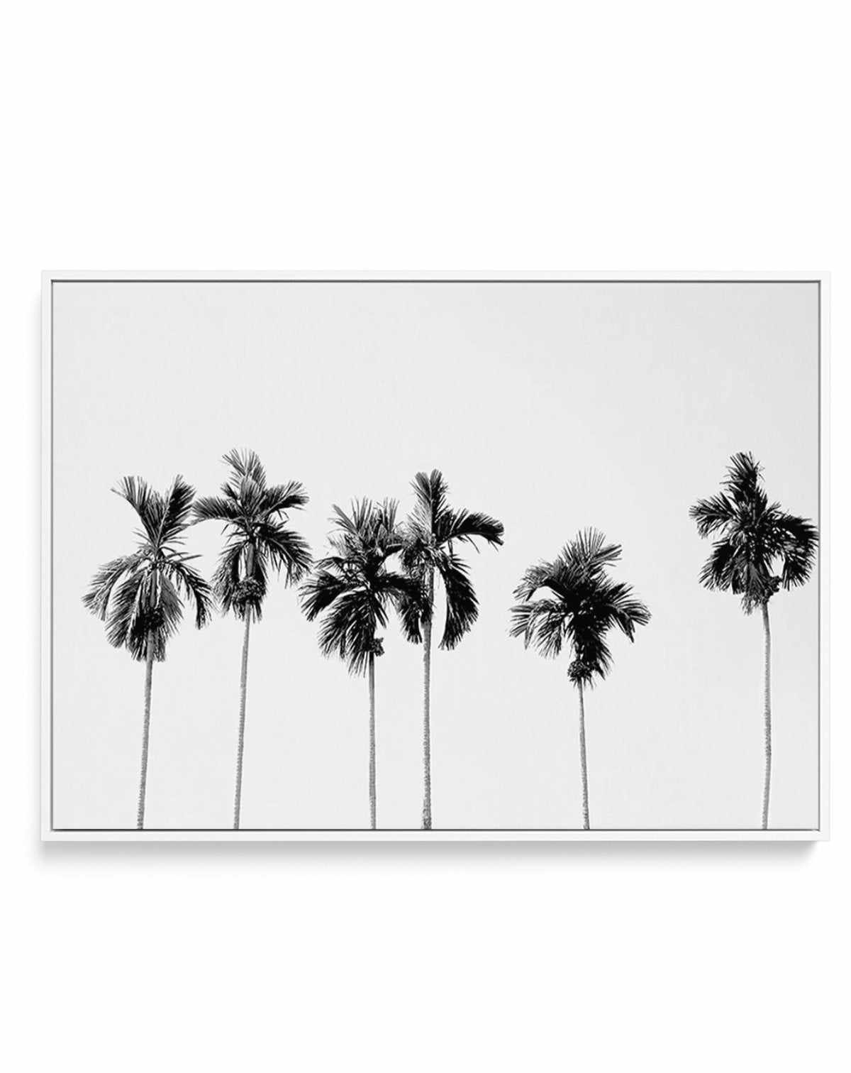 Six Palms | Framed Canvas-CANVAS-You can shop wall art online with Olive et Oriel for everything from abstract art to fun kids wall art. Our beautiful modern art prints and canvas art are available from large canvas prints to wall art paintings and our proudly Australian artwork collection offers only the highest quality framed large wall art and canvas art Australia - You can buy fashion photography prints or Hampton print posters and paintings on canvas from Olive et Oriel and have them delive