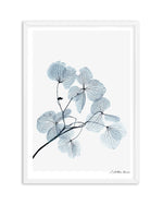 Skeleton Leaves Art Print-PRINT-Olive et Oriel-Olive et Oriel-A5 | 5.8" x 8.3" | 14.8 x 21cm-White-With White Border-Buy-Australian-Art-Prints-Online-with-Olive-et-Oriel-Your-Artwork-Specialists-Austrailia-Decorate-With-Coastal-Photo-Wall-Art-Prints-From-Our-Beach-House-Artwork-Collection-Fine-Poster-and-Framed-Artwork