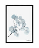 Skeleton Leaves Art Print-PRINT-Olive et Oriel-Olive et Oriel-A5 | 5.8" x 8.3" | 14.8 x 21cm-Black-With White Border-Buy-Australian-Art-Prints-Online-with-Olive-et-Oriel-Your-Artwork-Specialists-Austrailia-Decorate-With-Coastal-Photo-Wall-Art-Prints-From-Our-Beach-House-Artwork-Collection-Fine-Poster-and-Framed-Artwork