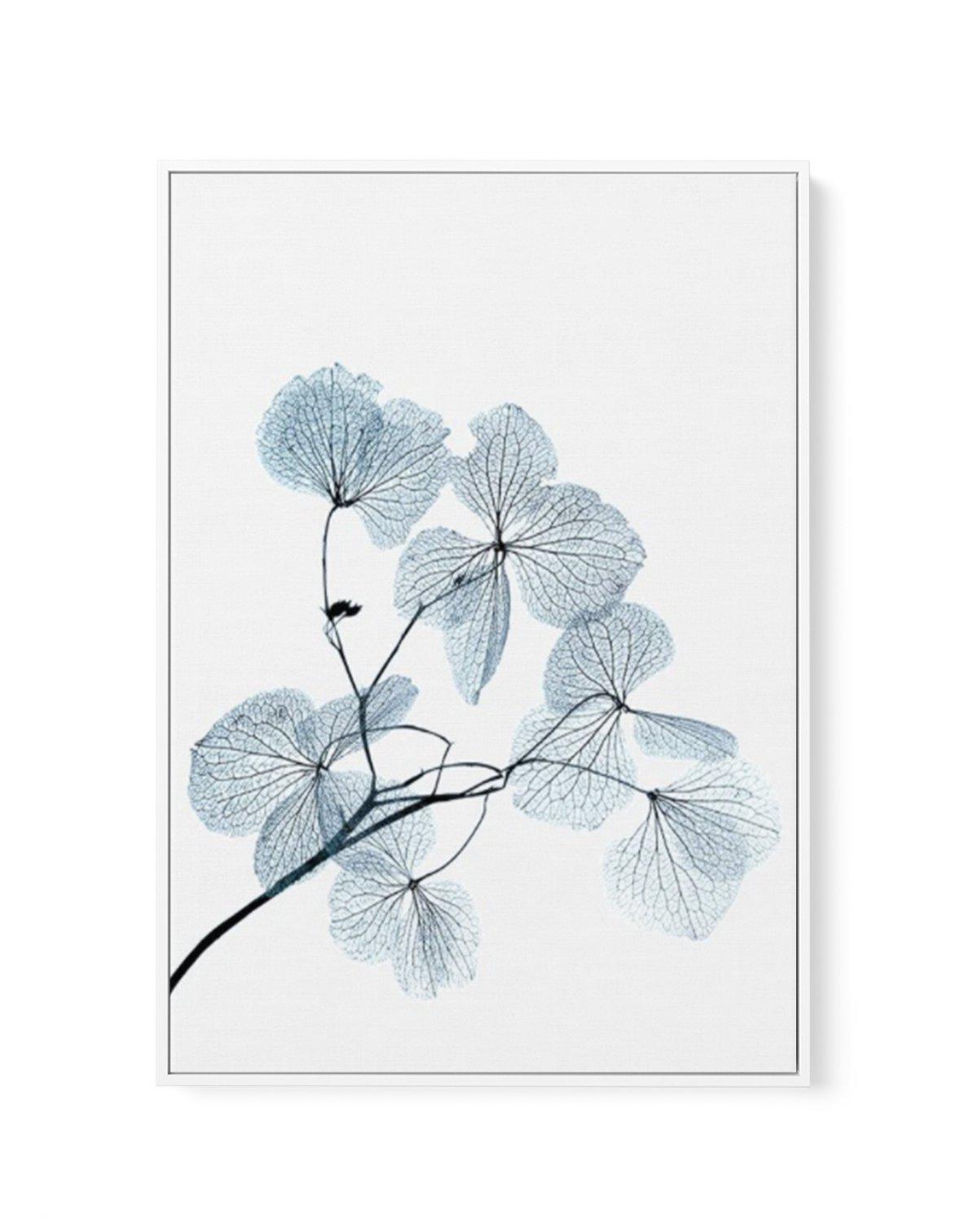 Skeleton Leaves | Framed Canvas-CANVAS-You can shop wall art online with Olive et Oriel for everything from abstract art to fun kids wall art. Our beautiful modern art prints and canvas art are available from large canvas prints to wall art paintings and our proudly Australian artwork collection offers only the highest quality framed large wall art and canvas art Australia - You can buy fashion photography prints or Hampton print posters and paintings on canvas from Olive et Oriel and have them 