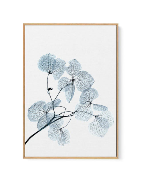 Skeleton Leaves | Framed Canvas-CANVAS-You can shop wall art online with Olive et Oriel for everything from abstract art to fun kids wall art. Our beautiful modern art prints and canvas art are available from large canvas prints to wall art paintings and our proudly Australian artwork collection offers only the highest quality framed large wall art and canvas art Australia - You can buy fashion photography prints or Hampton print posters and paintings on canvas from Olive et Oriel and have them 