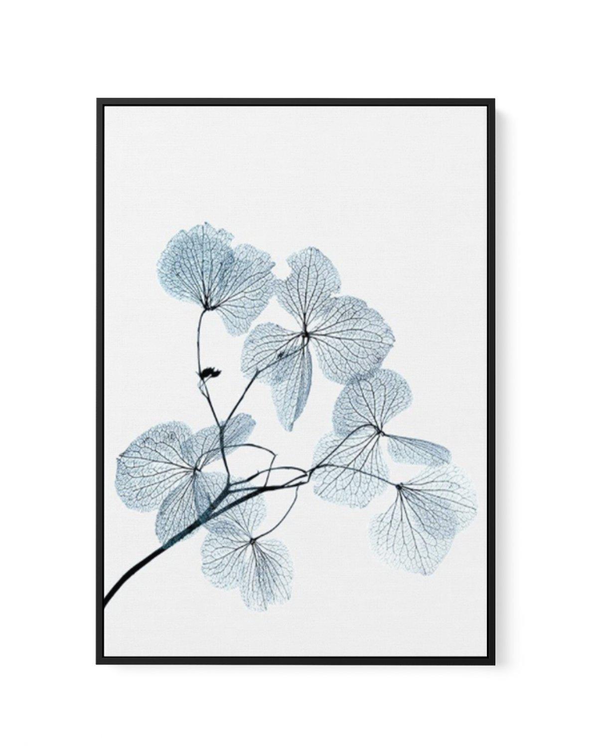 Skeleton Leaves | Framed Canvas-CANVAS-You can shop wall art online with Olive et Oriel for everything from abstract art to fun kids wall art. Our beautiful modern art prints and canvas art are available from large canvas prints to wall art paintings and our proudly Australian artwork collection offers only the highest quality framed large wall art and canvas art Australia - You can buy fashion photography prints or Hampton print posters and paintings on canvas from Olive et Oriel and have them 