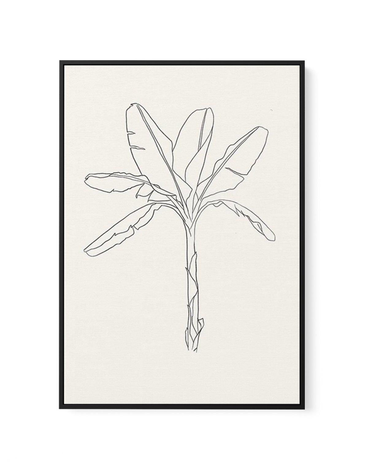 Sketched Palm I | Framed Canvas-CANVAS-You can shop wall art online with Olive et Oriel for everything from abstract art to fun kids wall art. Our beautiful modern art prints and canvas art are available from large canvas prints to wall art paintings and our proudly Australian artwork collection offers only the highest quality framed large wall art and canvas art Australia - You can buy fashion photography prints or Hampton print posters and paintings on canvas from Olive et Oriel and have them 