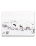 Snowy Mountains Brumbies II | Framed Canvas-CANVAS-You can shop wall art online with Olive et Oriel for everything from abstract art to fun kids wall art. Our beautiful modern art prints and canvas art are available from large canvas prints to wall art paintings and our proudly Australian artwork collection offers only the highest quality framed large wall art and canvas art Australia - You can buy fashion photography prints or Hampton print posters and paintings on canvas from Olive et Oriel an