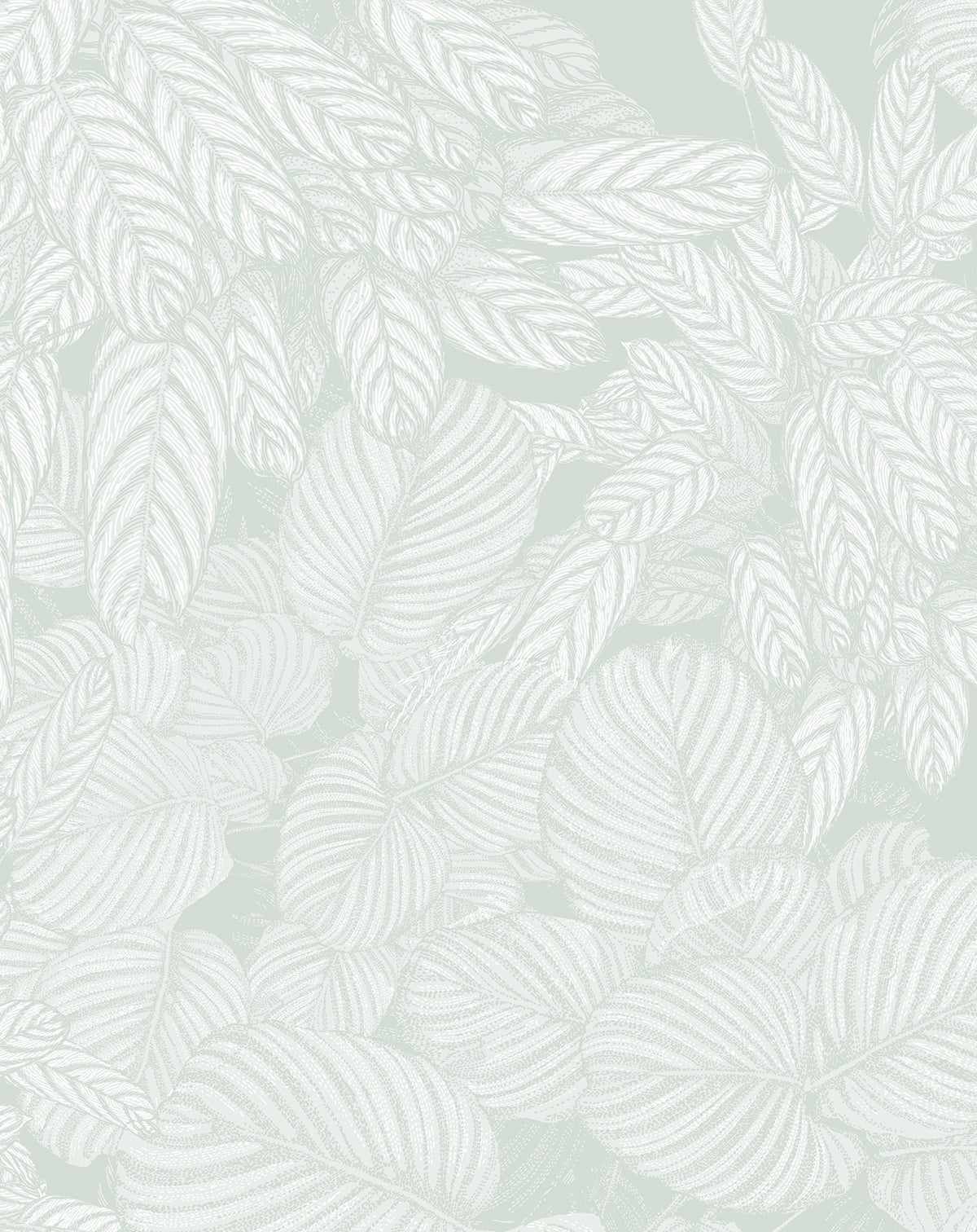 Soft Foliage | Sage Green Wallpaper - Olive et Oriel