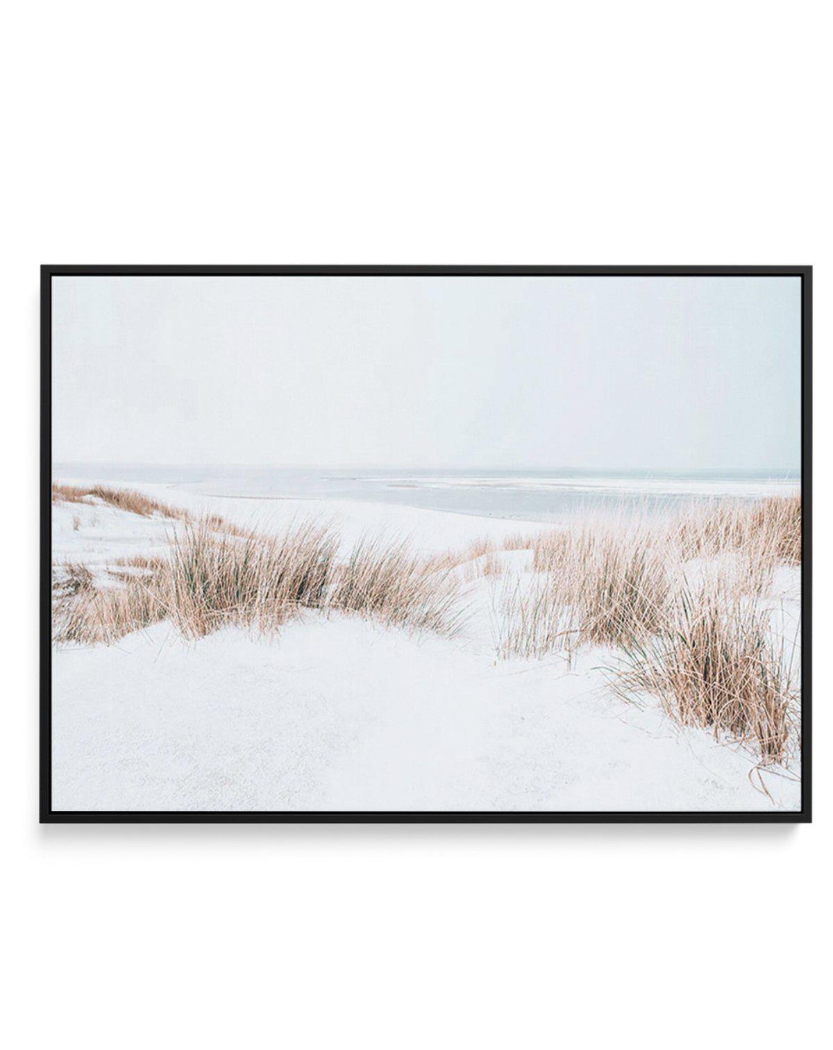 Soft Sea Dunes | Framed Canvas-CANVAS-You can shop wall art online with Olive et Oriel for everything from abstract art to fun kids wall art. Our beautiful modern art prints and canvas art are available from large canvas prints to wall art paintings and our proudly Australian artwork collection offers only the highest quality framed large wall art and canvas art Australia - You can buy fashion photography prints or Hampton print posters and paintings on canvas from Olive et Oriel and have them d