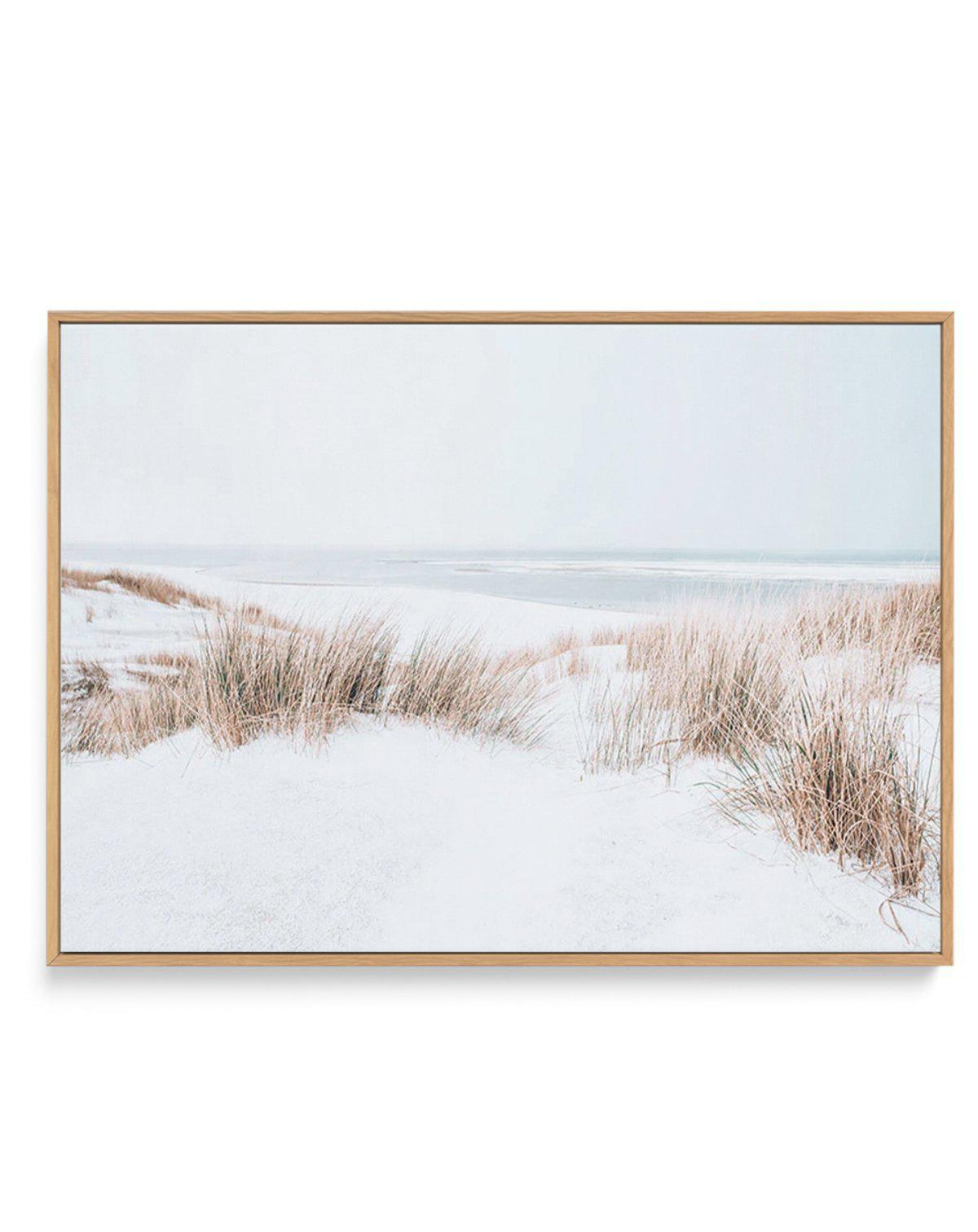 Soft Sea Dunes | Framed Canvas-CANVAS-You can shop wall art online with Olive et Oriel for everything from abstract art to fun kids wall art. Our beautiful modern art prints and canvas art are available from large canvas prints to wall art paintings and our proudly Australian artwork collection offers only the highest quality framed large wall art and canvas art Australia - You can buy fashion photography prints or Hampton print posters and paintings on canvas from Olive et Oriel and have them d