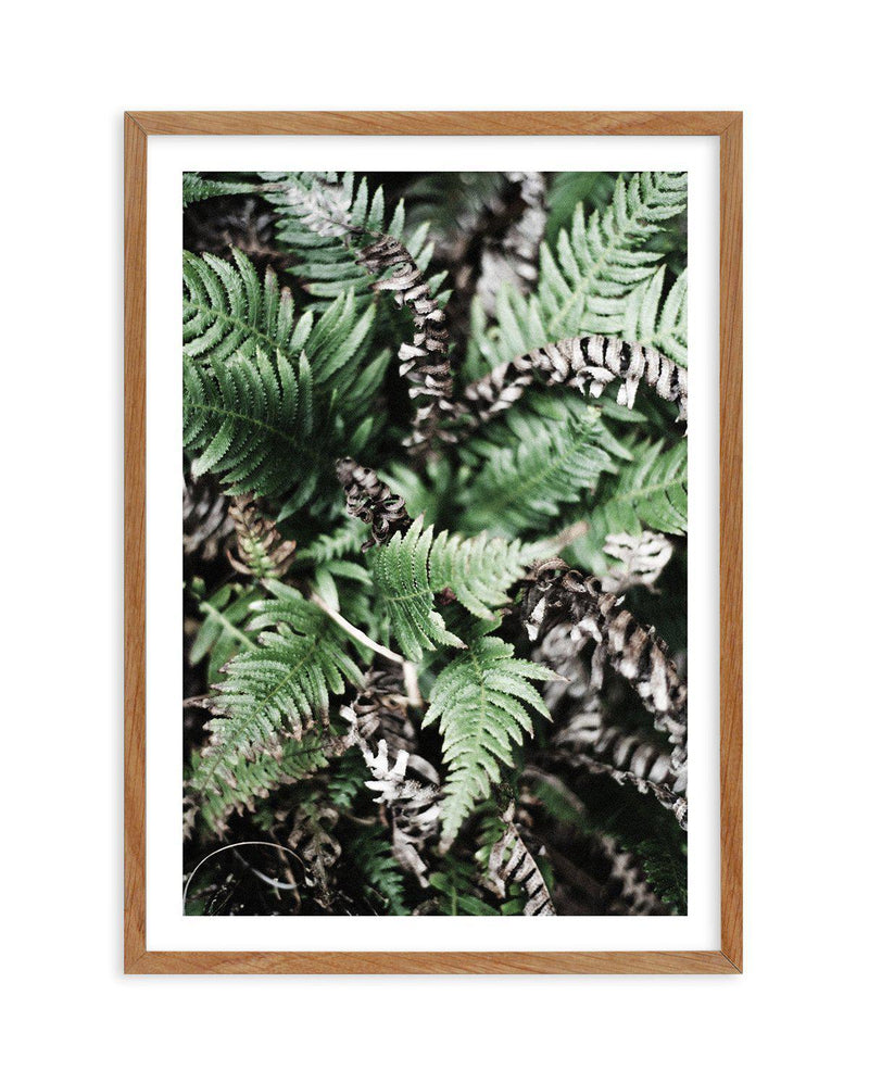 Sol de la Foret Art Print-PRINT-Olive et Oriel-Olive et Oriel-50cm x 70cm | 19.6" x 27.5" | 500mm x 700mm-Dark Ash-Buy-Australian-Art-Prints-Online-with-Olive-et-Oriel-Your-Artwork-Specialists-Austrailia-Decorate-With-Coastal-Photo-Wall-Art-Prints-From-Our-Beach-House-Artwork-Collection-Fine-Poster-and-Framed-Artwork