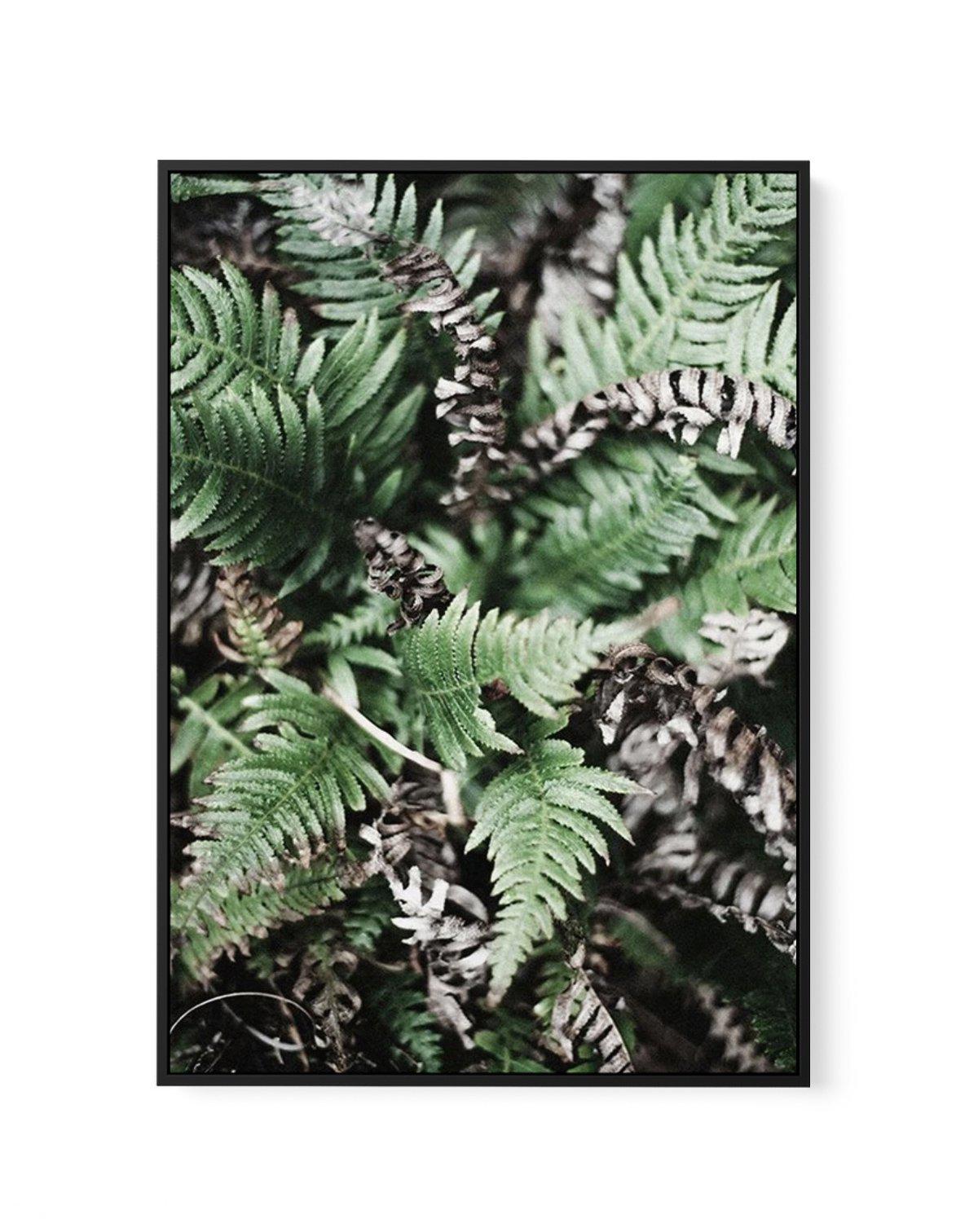 Sol de la Foret | Framed Canvas-CANVAS-You can shop wall art online with Olive et Oriel for everything from abstract art to fun kids wall art. Our beautiful modern art prints and canvas art are available from large canvas prints to wall art paintings and our proudly Australian artwork collection offers only the highest quality framed large wall art and canvas art Australia - You can buy fashion photography prints or Hampton print posters and paintings on canvas from Olive et Oriel and have them 