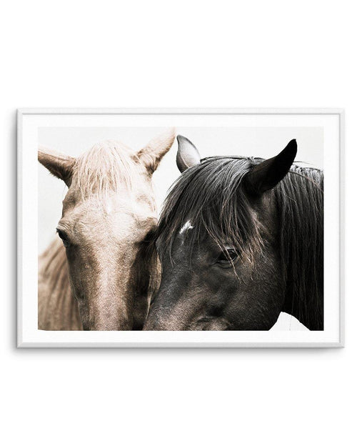 Soulmates | Horses Art Print-PRINT-Olive et Oriel-Olive et Oriel-A4 | 8.3" x 11.7" | 21 x 29.7cm-Unframed Art Print-With White Border-Buy-Australian-Art-Prints-Online-with-Olive-et-Oriel-Your-Artwork-Specialists-Austrailia-Decorate-With-Coastal-Photo-Wall-Art-Prints-From-Our-Beach-House-Artwork-Collection-Fine-Poster-and-Framed-Artwork