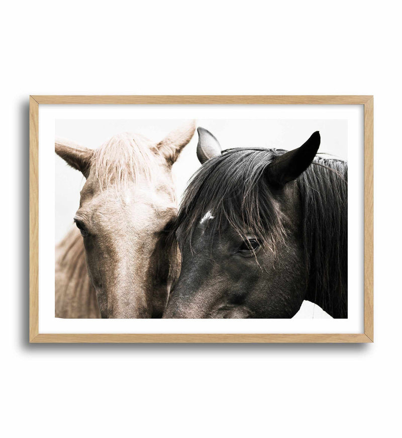 Soulmates | Horses Art Print-PRINT-Olive et Oriel-Olive et Oriel-A4 | 8.3" x 11.7" | 21 x 29.7cm-Oak-With White Border-Buy-Australian-Art-Prints-Online-with-Olive-et-Oriel-Your-Artwork-Specialists-Austrailia-Decorate-With-Coastal-Photo-Wall-Art-Prints-From-Our-Beach-House-Artwork-Collection-Fine-Poster-and-Framed-Artwork