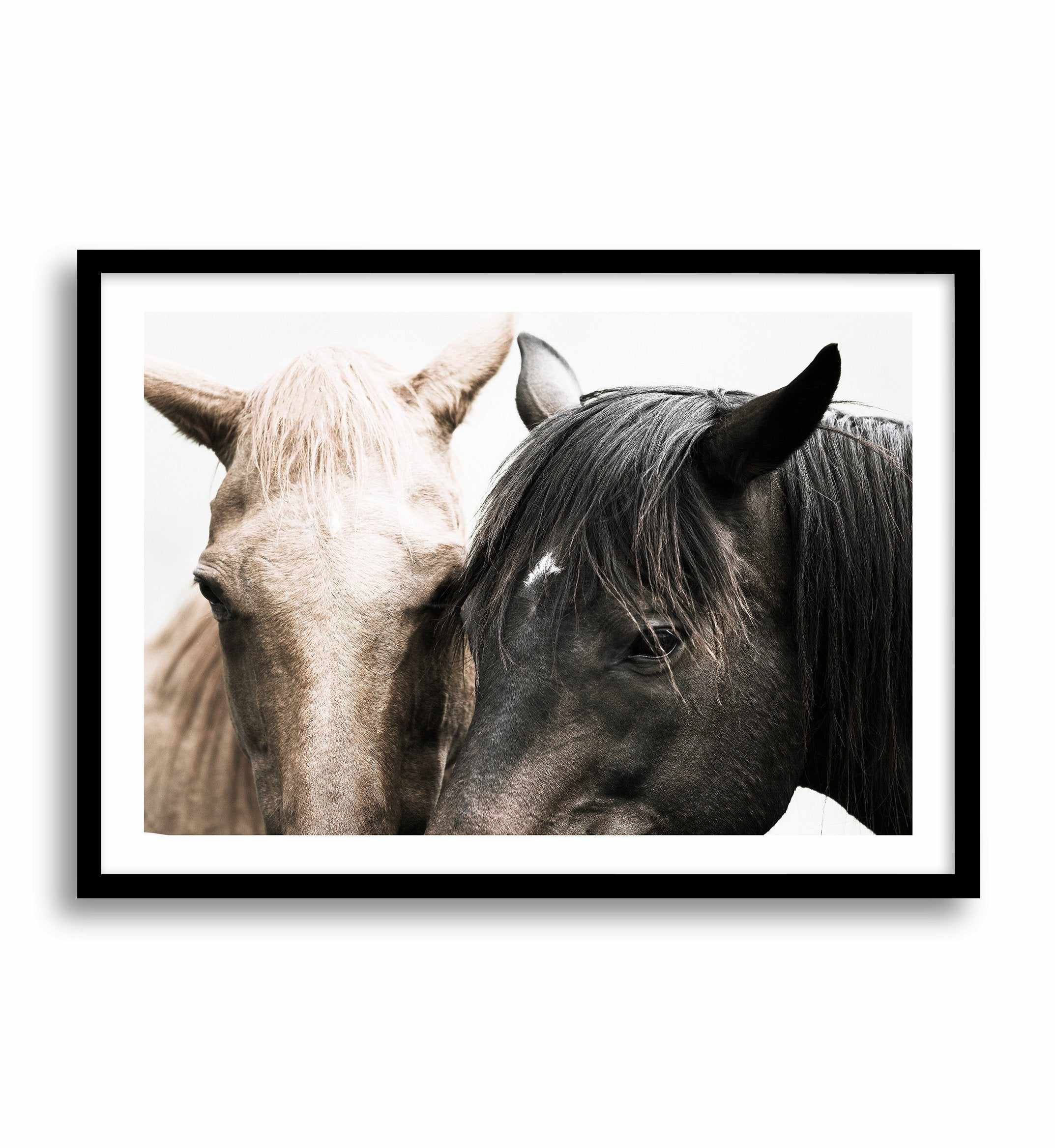 Soulmates | Horses Art Print-PRINT-Olive et Oriel-Olive et Oriel-A4 | 8.3" x 11.7" | 21 x 29.7cm-Black-With White Border-Buy-Australian-Art-Prints-Online-with-Olive-et-Oriel-Your-Artwork-Specialists-Austrailia-Decorate-With-Coastal-Photo-Wall-Art-Prints-From-Our-Beach-House-Artwork-Collection-Fine-Poster-and-Framed-Artwork