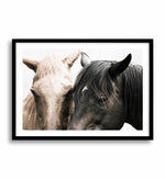 Soulmates | Horses Art Print-PRINT-Olive et Oriel-Olive et Oriel-A4 | 8.3" x 11.7" | 21 x 29.7cm-Black-With White Border-Buy-Australian-Art-Prints-Online-with-Olive-et-Oriel-Your-Artwork-Specialists-Austrailia-Decorate-With-Coastal-Photo-Wall-Art-Prints-From-Our-Beach-House-Artwork-Collection-Fine-Poster-and-Framed-Artwork