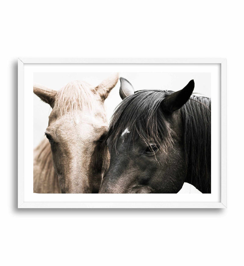 Soulmates | Horses Art Print-PRINT-Olive et Oriel-Olive et Oriel-A4 | 8.3" x 11.7" | 21 x 29.7cm-White-With White Border-Buy-Australian-Art-Prints-Online-with-Olive-et-Oriel-Your-Artwork-Specialists-Austrailia-Decorate-With-Coastal-Photo-Wall-Art-Prints-From-Our-Beach-House-Artwork-Collection-Fine-Poster-and-Framed-Artwork