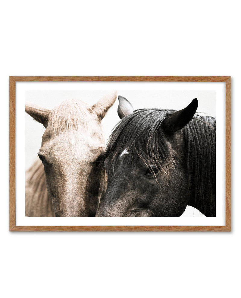 Soulmates | Horses Art Print-PRINT-Olive et Oriel-Olive et Oriel-50x70 cm | 19.6" x 27.5"-Walnut-With White Border-Buy-Australian-Art-Prints-Online-with-Olive-et-Oriel-Your-Artwork-Specialists-Austrailia-Decorate-With-Coastal-Photo-Wall-Art-Prints-From-Our-Beach-House-Artwork-Collection-Fine-Poster-and-Framed-Artwork