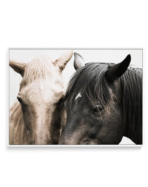 Soulmates | Horses | Framed Canvas-CANVAS-You can shop wall art online with Olive et Oriel for everything from abstract art to fun kids wall art. Our beautiful modern art prints and canvas art are available from large canvas prints to wall art paintings and our proudly Australian artwork collection offers only the highest quality framed large wall art and canvas art Australia - You can buy fashion photography prints or Hampton print posters and paintings on canvas from Olive et Oriel and have th