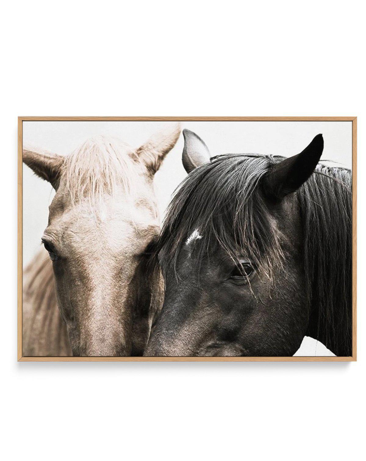 Soulmates | Horses | Framed Canvas-CANVAS-You can shop wall art online with Olive et Oriel for everything from abstract art to fun kids wall art. Our beautiful modern art prints and canvas art are available from large canvas prints to wall art paintings and our proudly Australian artwork collection offers only the highest quality framed large wall art and canvas art Australia - You can buy fashion photography prints or Hampton print posters and paintings on canvas from Olive et Oriel and have th