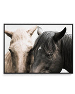 Soulmates | Horses | Framed Canvas-CANVAS-You can shop wall art online with Olive et Oriel for everything from abstract art to fun kids wall art. Our beautiful modern art prints and canvas art are available from large canvas prints to wall art paintings and our proudly Australian artwork collection offers only the highest quality framed large wall art and canvas art Australia - You can buy fashion photography prints or Hampton print posters and paintings on canvas from Olive et Oriel and have th