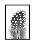 Spotted Feather Art Print-PRINT-Olive et Oriel-Olive et Oriel-A4 | 8.3" x 11.7" | 21 x 29.7cm-Black-With White Border-Buy-Australian-Art-Prints-Online-with-Olive-et-Oriel-Your-Artwork-Specialists-Austrailia-Decorate-With-Coastal-Photo-Wall-Art-Prints-From-Our-Beach-House-Artwork-Collection-Fine-Poster-and-Framed-Artwork