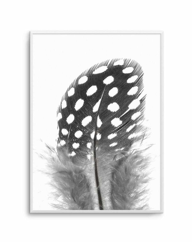 Spotted Feather Art Print-PRINT-Olive et Oriel-Olive et Oriel-A4 | 8.3" x 11.7" | 21 x 29.7cm-Unframed Art Print-With White Border-Buy-Australian-Art-Prints-Online-with-Olive-et-Oriel-Your-Artwork-Specialists-Austrailia-Decorate-With-Coastal-Photo-Wall-Art-Prints-From-Our-Beach-House-Artwork-Collection-Fine-Poster-and-Framed-Artwork