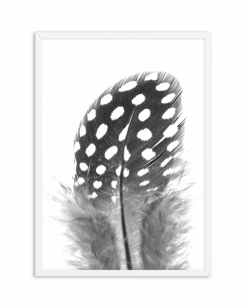 Spotted Feather Art Print-PRINT-Olive et Oriel-Olive et Oriel-A4 | 8.3" x 11.7" | 21 x 29.7cm-White-With White Border-Buy-Australian-Art-Prints-Online-with-Olive-et-Oriel-Your-Artwork-Specialists-Austrailia-Decorate-With-Coastal-Photo-Wall-Art-Prints-From-Our-Beach-House-Artwork-Collection-Fine-Poster-and-Framed-Artwork