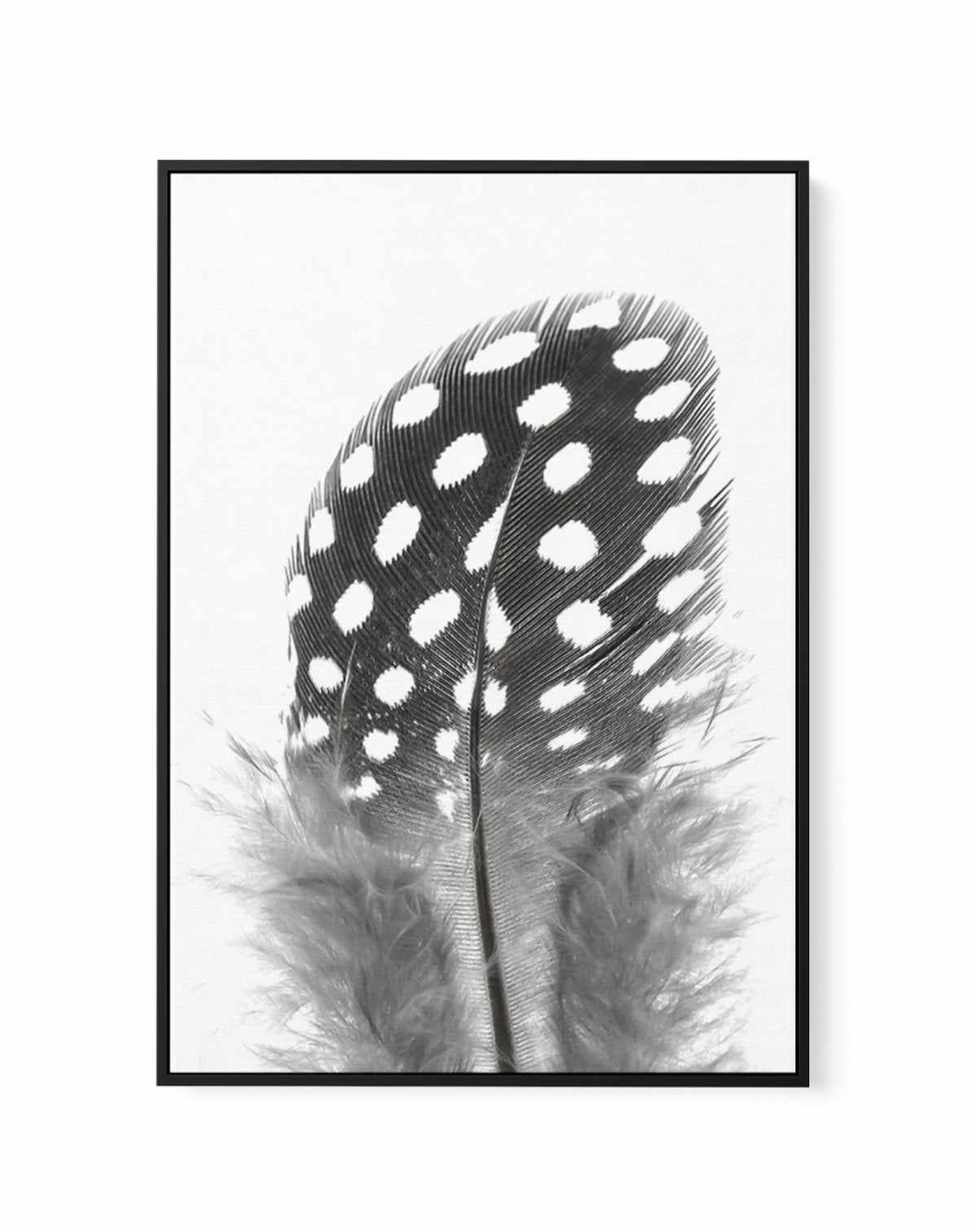 Spotted Feather | Framed Canvas-CANVAS-You can shop wall art online with Olive et Oriel for everything from abstract art to fun kids wall art. Our beautiful modern art prints and canvas art are available from large canvas prints to wall art paintings and our proudly Australian artwork collection offers only the highest quality framed large wall art and canvas art Australia - You can buy fashion photography prints or Hampton print posters and paintings on canvas from Olive et Oriel and have them 