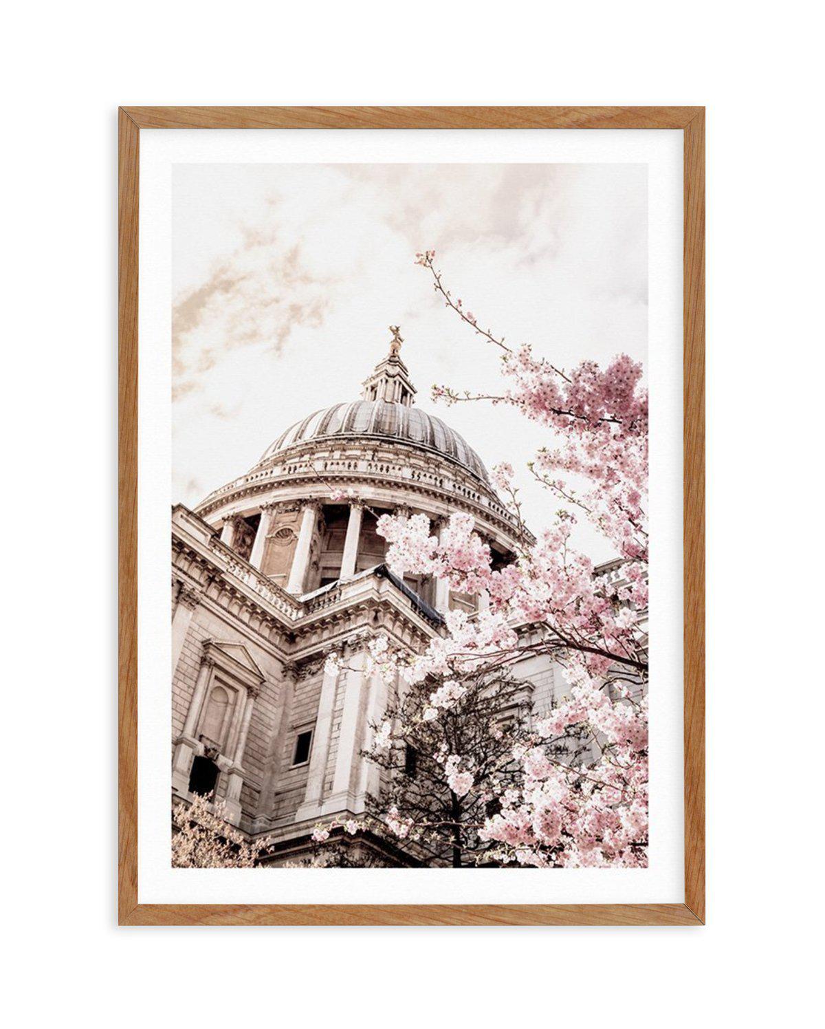 St Paul's Cathedral in Spring Art Print-PRINT-Olive et Oriel-Olive et Oriel-Buy-Australian-Art-Prints-Online-with-Olive-et-Oriel-Your-Artwork-Specialists-Austrailia-Decorate-With-Coastal-Photo-Wall-Art-Prints-From-Our-Beach-House-Artwork-Collection-Fine-Poster-and-Framed-Artwork