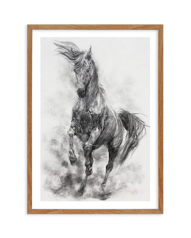 Stallion in Charcoal Art Print-PRINT-Olive et Oriel-Olive et Oriel-50x70 cm | 19.6" x 27.5"-Walnut-With White Border-Buy-Australian-Art-Prints-Online-with-Olive-et-Oriel-Your-Artwork-Specialists-Austrailia-Decorate-With-Coastal-Photo-Wall-Art-Prints-From-Our-Beach-House-Artwork-Collection-Fine-Poster-and-Framed-Artwork