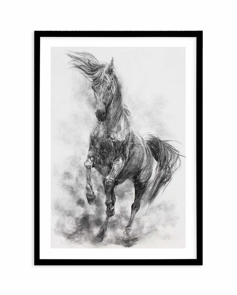 Stallion in Charcoal Art Print-PRINT-Olive et Oriel-Olive et Oriel-A5 | 5.8" x 8.3" | 14.8 x 21cm-Black-With White Border-Buy-Australian-Art-Prints-Online-with-Olive-et-Oriel-Your-Artwork-Specialists-Austrailia-Decorate-With-Coastal-Photo-Wall-Art-Prints-From-Our-Beach-House-Artwork-Collection-Fine-Poster-and-Framed-Artwork