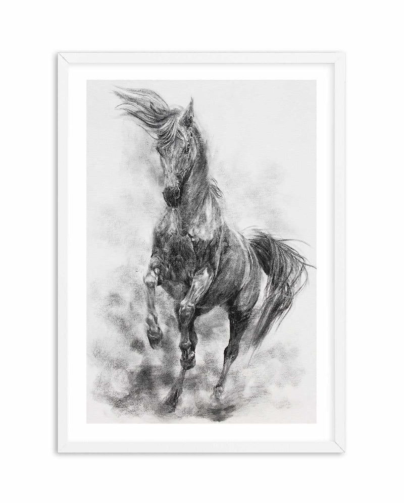 Stallion in Charcoal Art Print-PRINT-Olive et Oriel-Olive et Oriel-A5 | 5.8" x 8.3" | 14.8 x 21cm-White-With White Border-Buy-Australian-Art-Prints-Online-with-Olive-et-Oriel-Your-Artwork-Specialists-Austrailia-Decorate-With-Coastal-Photo-Wall-Art-Prints-From-Our-Beach-House-Artwork-Collection-Fine-Poster-and-Framed-Artwork
