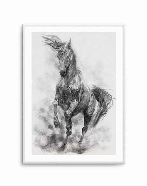 Stallion in Charcoal Art Print-PRINT-Olive et Oriel-Olive et Oriel-A5 | 5.8" x 8.3" | 14.8 x 21cm-Unframed Art Print-With White Border-Buy-Australian-Art-Prints-Online-with-Olive-et-Oriel-Your-Artwork-Specialists-Austrailia-Decorate-With-Coastal-Photo-Wall-Art-Prints-From-Our-Beach-House-Artwork-Collection-Fine-Poster-and-Framed-Artwork