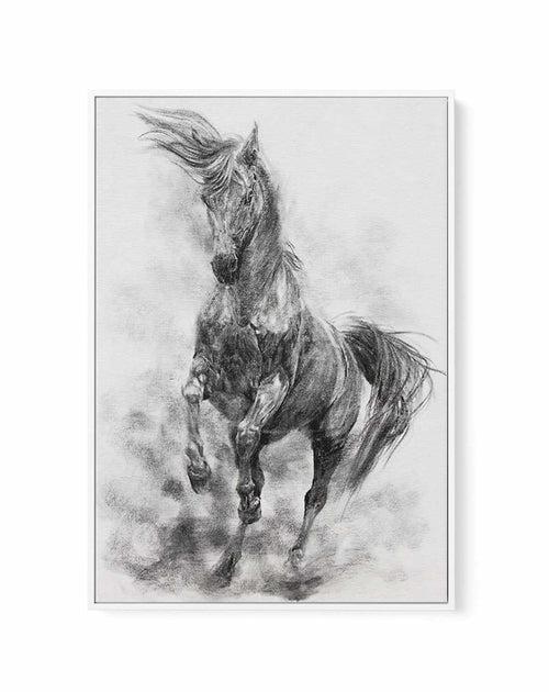 Stallion in Charcoal | Framed Canvas-CANVAS-You can shop wall art online with Olive et Oriel for everything from abstract art to fun kids wall art. Our beautiful modern art prints and canvas art are available from large canvas prints to wall art paintings and our proudly Australian artwork collection offers only the highest quality framed large wall art and canvas art Australia - You can buy fashion photography prints or Hampton print posters and paintings on canvas from Olive et Oriel and have 