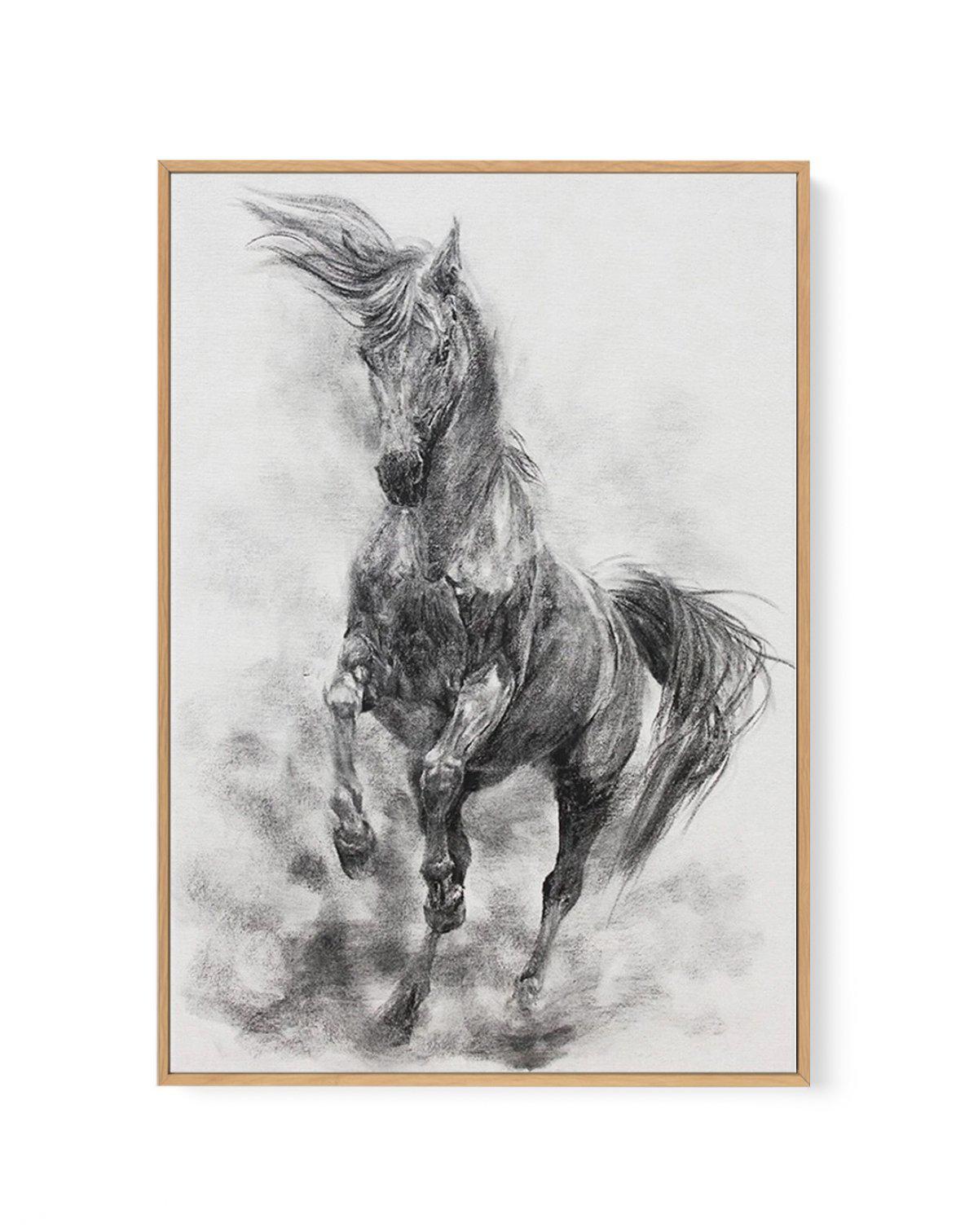 Stallion in Charcoal | Framed Canvas-CANVAS-You can shop wall art online with Olive et Oriel for everything from abstract art to fun kids wall art. Our beautiful modern art prints and canvas art are available from large canvas prints to wall art paintings and our proudly Australian artwork collection offers only the highest quality framed large wall art and canvas art Australia - You can buy fashion photography prints or Hampton print posters and paintings on canvas from Olive et Oriel and have 