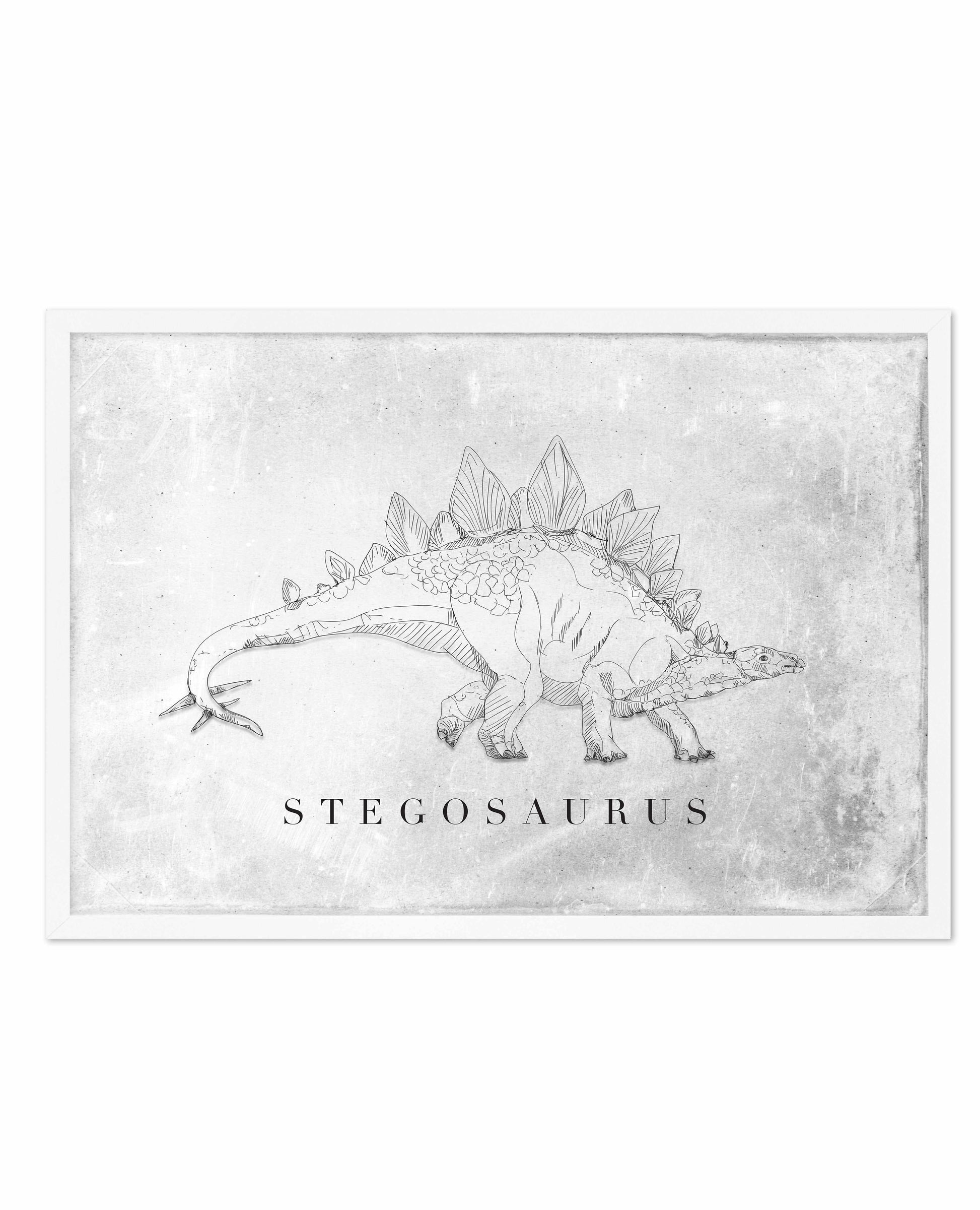 Stegosaurus LS | Dinosaur Collection Art Print-PRINT-Olive et Oriel-Olive et Oriel-A5 | 5.8" x 8.3" | 14.8 x 21cm-White-With White Border-Buy-Australian-Art-Prints-Online-with-Olive-et-Oriel-Your-Artwork-Specialists-Austrailia-Decorate-With-Coastal-Photo-Wall-Art-Prints-From-Our-Beach-House-Artwork-Collection-Fine-Poster-and-Framed-Artwork