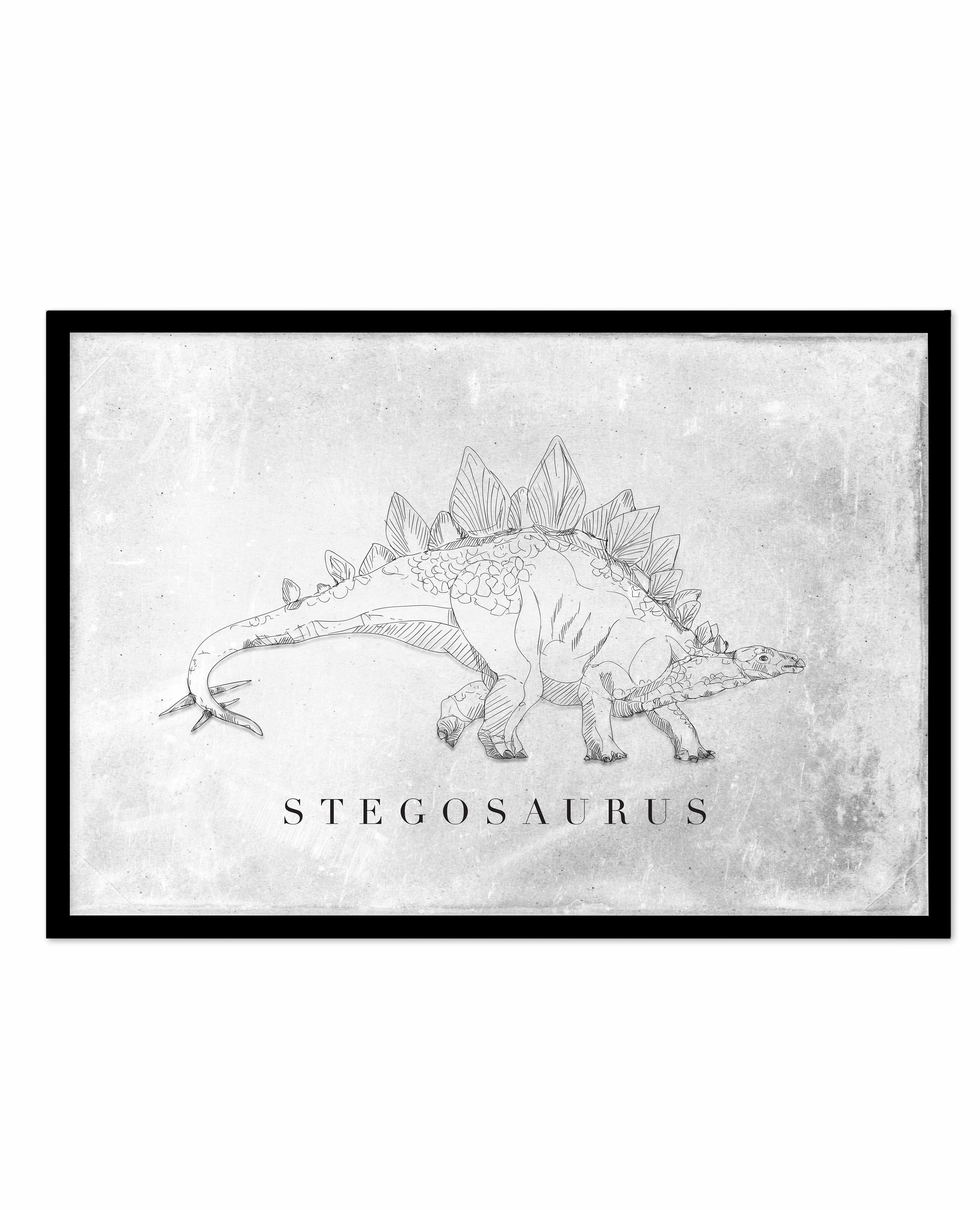 Stegosaurus LS | Dinosaur Collection Art Print-PRINT-Olive et Oriel-Olive et Oriel-A5 | 5.8" x 8.3" | 14.8 x 21cm-Black-With White Border-Buy-Australian-Art-Prints-Online-with-Olive-et-Oriel-Your-Artwork-Specialists-Austrailia-Decorate-With-Coastal-Photo-Wall-Art-Prints-From-Our-Beach-House-Artwork-Collection-Fine-Poster-and-Framed-Artwork